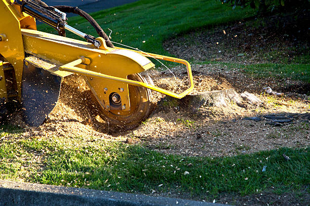 Artificial Turf Installation in Woodsville, NH